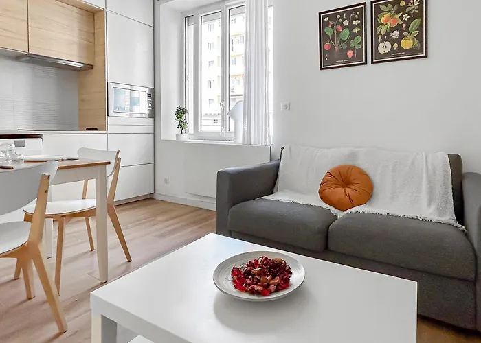 Lumineux T2 A Grenoble, Calme Et Confortable *