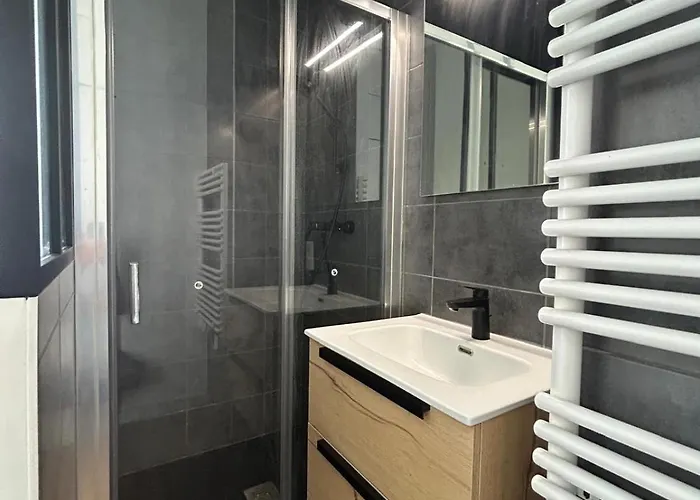 Lumineux T2 A Grenoble, Calme Et Confortable דירה